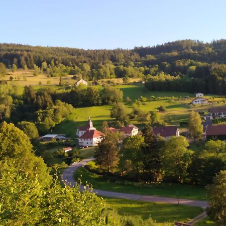 La Mansarde Aux Digitales La Croix-aux-Mines Exterior foto