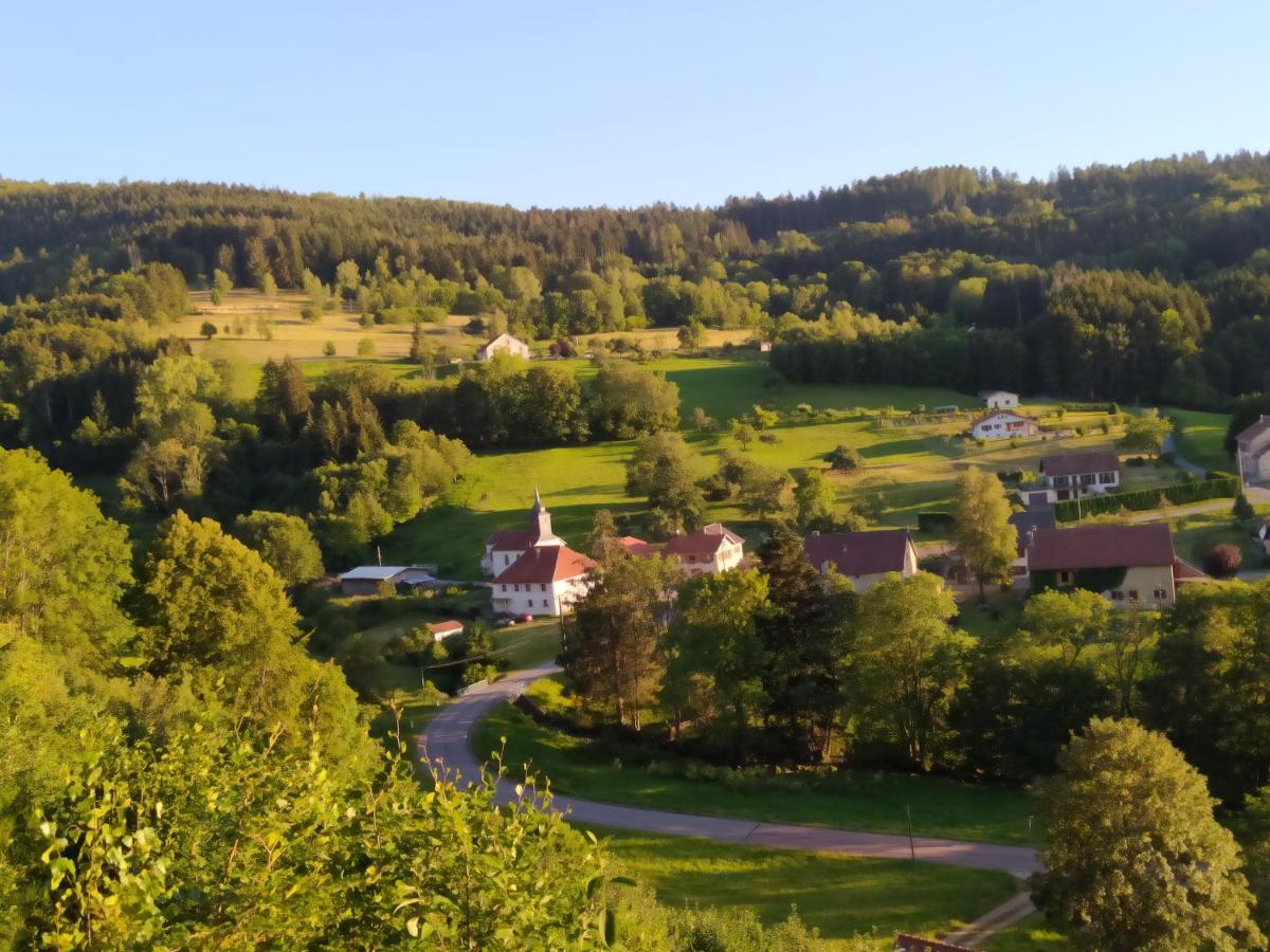 La Mansarde Aux Digitales La Croix-aux-Mines Exterior foto