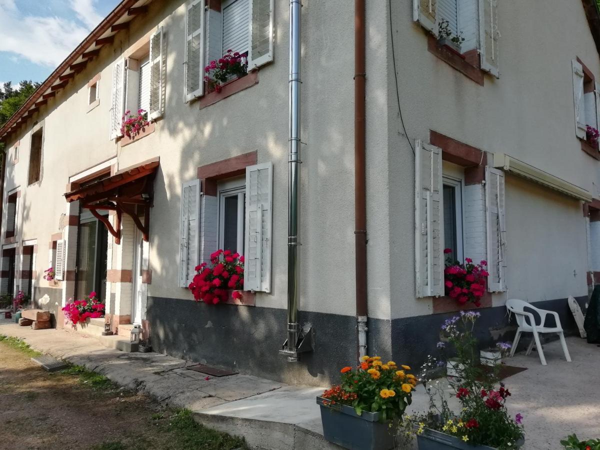 La Mansarde Aux Digitales La Croix-aux-Mines Exterior foto